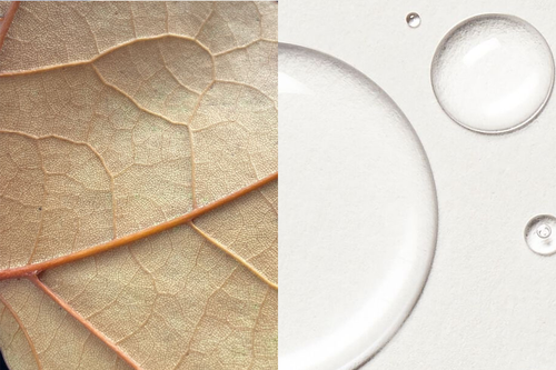 The Difference Between Dry and Dehydrated Skin