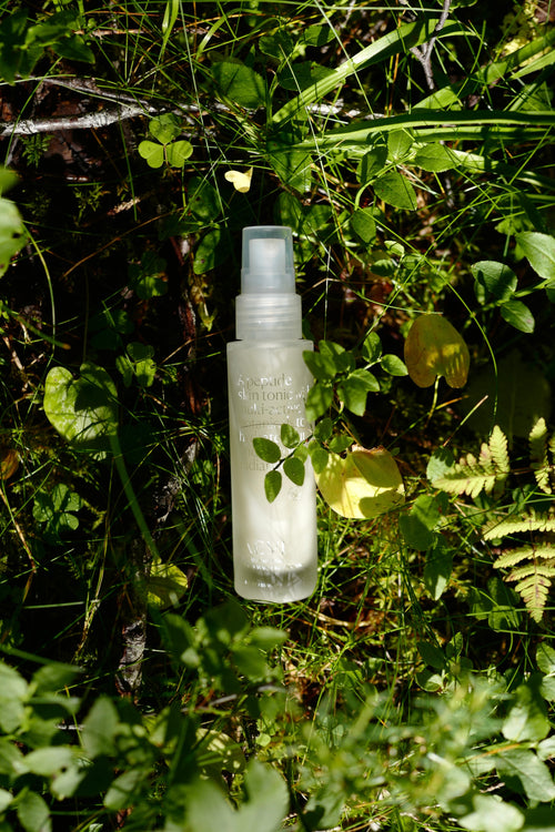 Aevi Peptide Face Mist ingredients – peptides, hyaluronic acid and cloudberry extract